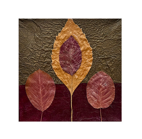 Leaves 1 - 6x6, $75