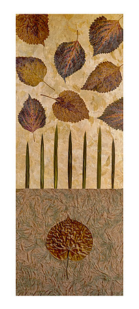 Colores - 16x40, $500
