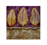Leaves 4 - 6x6, $75