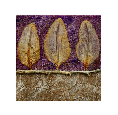 Leaves 4 - 6x6, $75