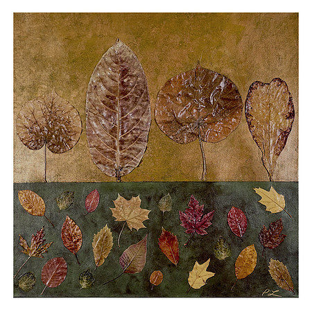 Natural Elements