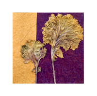 Leaves 2 - 6x6, $75