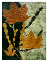 After Life 2 - 11x14, $200